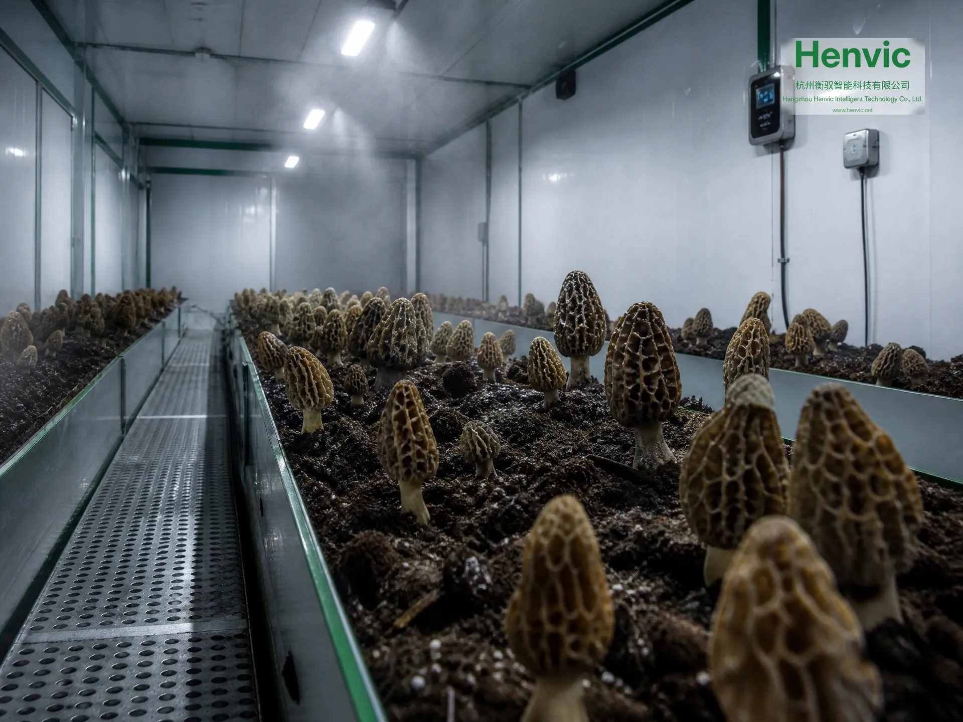 Henvic smart morel cultivation cabin — view 3