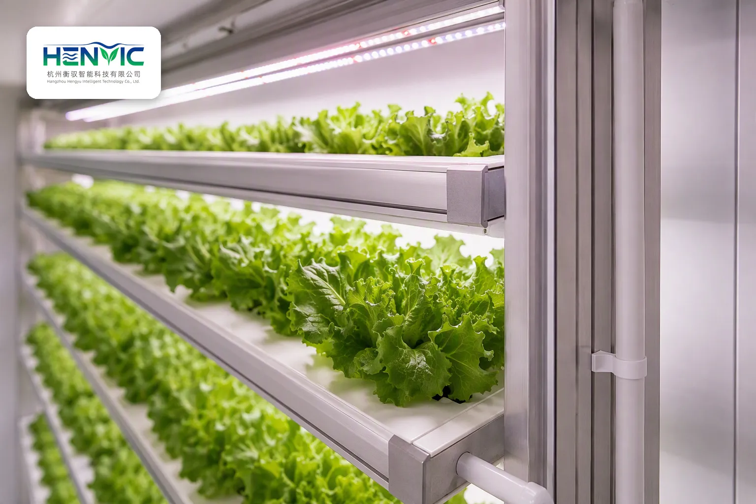 Lettuce Cultivation Container Smart Flagship