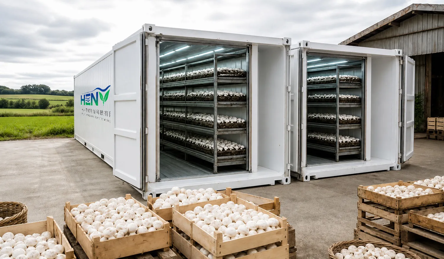 40 ft Vegetable Container Farm Pak Choi Programme